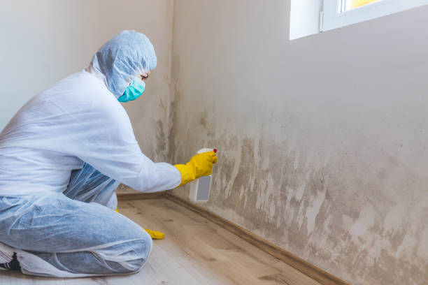 Mold inspector in Queen Creek performing thermal imaging